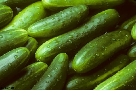 Cool cucumbers add crunch to Northwest summer recipes | Northwest Prime Time | Serving Baby Boomers and Seniors in Seattle Cucumber Health Benefits, Cucumber Gardening, Pea Salad Recipes, Cucumber Benefits, Cucumber Plant, Cucumber Water, Cucumber Seeds, Pea Salad, Fruit Photography