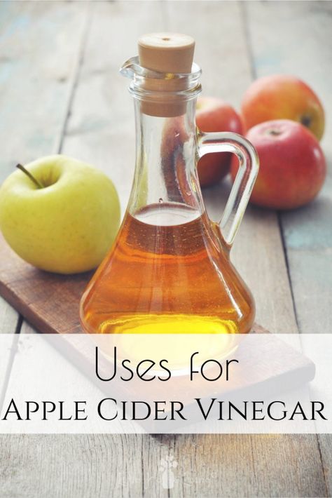 You probably have Apple Cider Vinegar in your home, but do you know all of the many ways it can be used? Here are some new uses for Apple Cider Vinegar so that you can make the most out of this common household ingredient. #applecidervinegar #usesforapplecidervinegar #acv #usesforacv #usesfor #frugal Cranberry Juice Detox, Apple Cider Vinegar Hair Rinse, Apple Cider Vinegar Acne, Make Apple Cider Vinegar, Vinegar Hair Rinse, Apple Cider Vinegar Rinse, Apple Cider Vinegar For Skin, Apple Cider Vinegar For Hair, Herbal Tonic