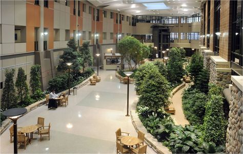 The Henry ford west Bloomfield Hospital boasts of a LEED certified Hospital Architecture Design. The 160 acre hospital property uses natural light for ... Hospital Architecture, Healthcare Architecture, New Hospital, Hospital Design, Best Indoor Plants, Office Plants, Doctor Office, Henry Ford, Indoor Garden