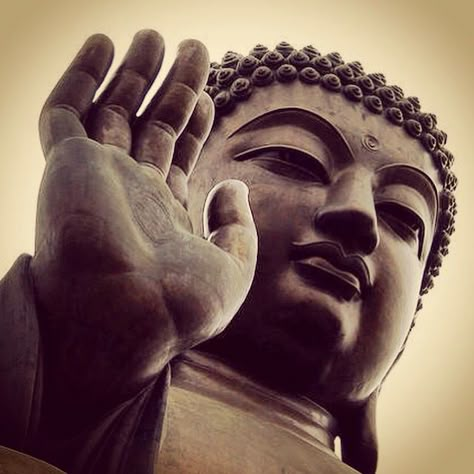 Abhaya in Sanskrit means fearlessness, and the abhaya mudra symbolizes protection, peace, and the dispelling of fear. The gesture is made with the right hand raised to shoulder height, arm bent, and palm facing outward. According to Buddhist tradition, the historical Buddha made this gesture immediately after gaining enlightenment. #buddha #mudra #buddhism #abhaya #nofear #ancientwisdom #ancientsymbols #ancientcultures #enlightenment #fearlessness Abhaya Mudra Buddha, Buddha Mudra, Buddha Palm, Buddhist Symbol Tattoos, Abhaya Mudra, Buddha Hand, Buddha Tattoo Design, Chinese Buddha, Hand Raised