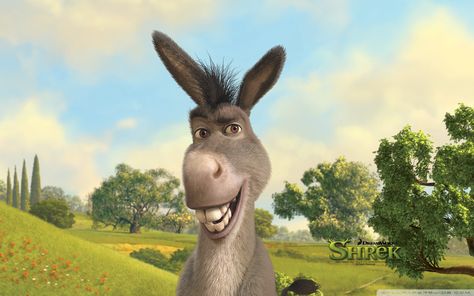 Notebook Wallpaper, Smile Meme, Fiona Shrek, Shrek Donkey, Brother From Another Mother, Smile Wallpaper, Eddie Murphy, Hd Desktop, Funny Wallpaper