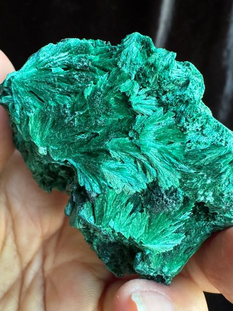 Another gorgeous piece of raw fibrous malachite (aka velvet malachite). It weighs 153 grams and is approximately 2 3/8 x 2 1/4 x 1 1/4. A stunning addition to any collection!  As with any raw malachite always wash hands after handling Fibrous Malachite, Velvet Malachite, Raw Gemstones Rocks, Raw Malachite, Crystal Witch, Chemical Elements, Jewelry Stones, Lucky Green, Gadgets And Gizmos