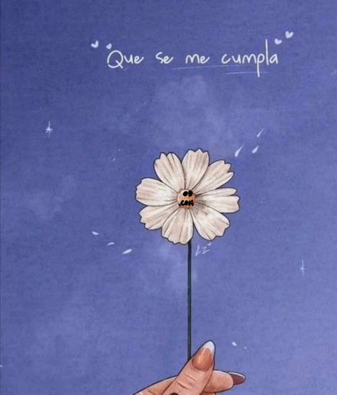 Walpapers Cute, Fran Fine, Reflection Quotes, Spanish Phrases, Visual Board, Positive Phrases, Quote Of The Week, Motivational Phrases, Spanish Quotes