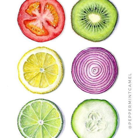 Fruit Slices Painting, Fruit Slices Drawing, Fruit Slice Painting, Water Colour Fruit Painting, Painting Food Ideas, Sliced Fruit Drawing, Fruit Slice Drawing, Color Pencil Fruit, Cute Fruit Painting