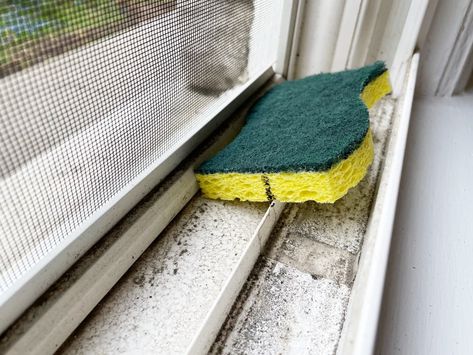 Best Way To Clean Window Tracks, Window Track Cleaning Hacks, How To Clean Window Tracks, Clean Window Sills, Cleaning Outside Windows, Cleaning Window Tracks, Clean Hacks, Anderson Windows, Clean Window