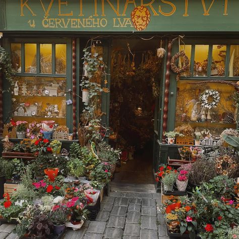 ✉️ from a small flowershop in Prague. 🐛 Vintage Flower Shop, Flower Shop Interiors, Old Country Stores, Shop Aesthetic, Book Cafe, Plant Shop, Flower Store, Florist Shop, Shop Interiors