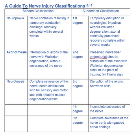 Nerve Structure, Peripheral Nerve Injury, Nerve Injury, Ankle Ligaments, Nerve Fiber, Complex Regional Pain Syndrome, Peripheral Nerve, Lower Extremity, Med Surg