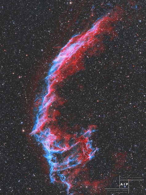 NGC6992 The Veil Nebula - Sky & Telescope Veil Nebula, Outer Space Photos, Galaxy Photos, Anime Galaxy, Planets Wallpaper, Black Holes, Colorful Space, Space Backgrounds, Universe Galaxy