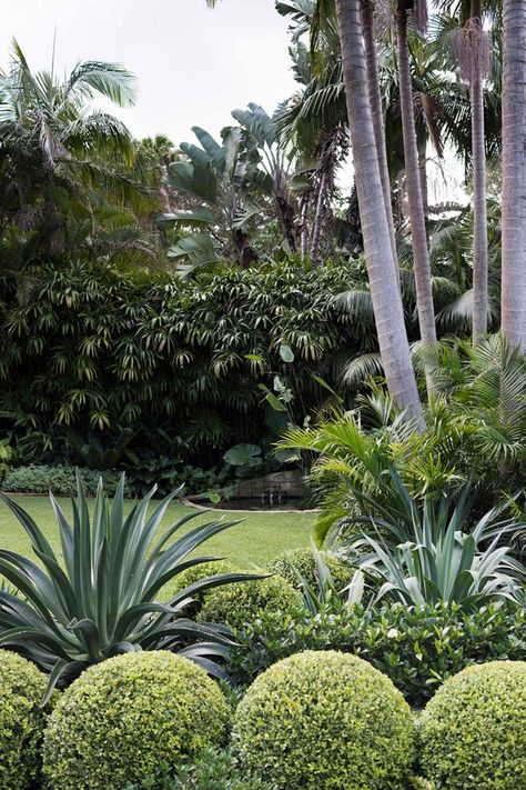 Light and Shade - Secret Gardens Landscape Architecture Tropical Planting, Topiary Garden, Front Garden Design, Estate Garden, Secret Gardens, Beach House Design, Home Landscaping, Garden Landscape Design, Beach Gardens