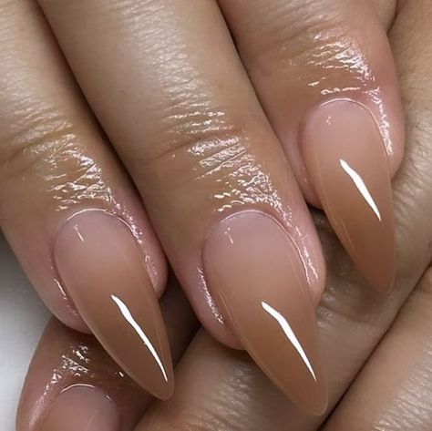 𝐒𝐊𝐘𝐄 | 𝒢𝑒𝓁 𝒳 𝒩𝒶𝒾𝓁𝓈 on Instagram: "♡ 🍫🤎🍂 ♡ length/shape: medium, rounded stiletto . . . . . . ♡ #nailsofinstagram #gelx #apresnails #nails #nailart #apres #nailinspo #nailsofig💅🏼 #inlandempirenails #ienailtech #explore #nailsbyskyelinh" Classy Almond Nails Dip Powder, Beige Ombre Nails Almond, Short Apres Gel X Nails, Gel Nail Designs Round Shape, Nails Acrylic Almond Natural, Tan And White Ombre Nails, Gel X Simple Design, Apres Nail Ideas, November Nails Almond Shape