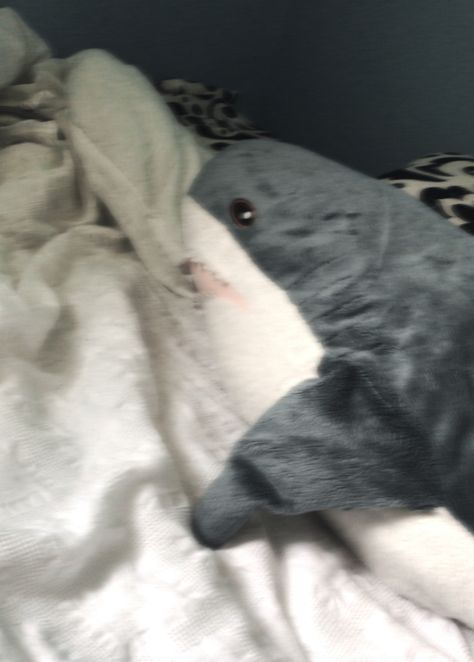 Shark Aesthetic Cute, Ikea Shark Aesthetic, Shark Room Aesthetic, Sharkuterie Board, Plushies Room, Ikea Plushies, Aesthetic Plushies, Ikea Shark, Shark Room