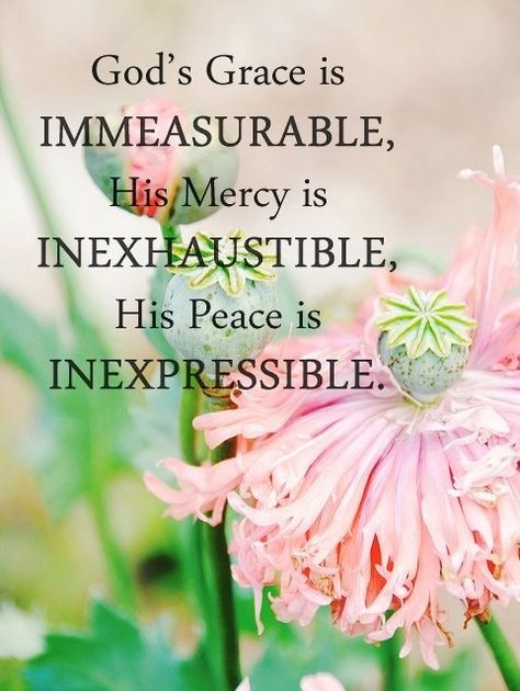 ❤❤❤ God’s Grace is immeasurable, HIs mercy is inexhaustible, His peace is inexpressible. God's Grace, Lord And Savior, Gods Grace, Amazing Grace, Spiritual Inspiration, Christian Inspiration, God Is Good, Bible Scriptures, Trust God