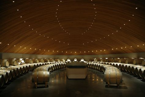 Wine Factory, Wine Cellar Inspiration, Chile Wine, Chilean Wine, Factory Architecture, Barrel Room, Chile Travel, Napa Valley Wine, Wine Cellars