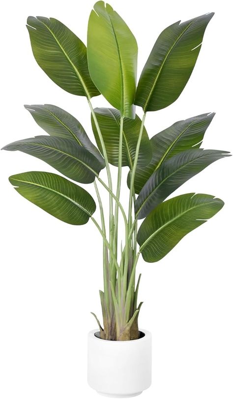 Amazon.com: ZEEOZE Artificial Bird of Paradise Plant 5Ft Tall Fake Tropical Palm Tree Large Fake Plants with 10 Silk Banana Leaves Faux Plant Indoor Decor Trees with White Pot for Home Bedroom Living Room Office : Home & Kitchen Palm Plant Indoor, Plant Indoor Decor, Large Fake Plants, Birds Of Paradise Plant, Tall Indoor Plants, Paradise Plant, Artificial Birds, Banana Palm, Artificial Plants Indoor