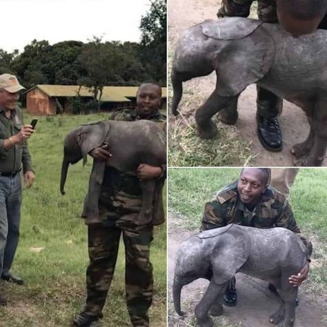 Newborn Elephant Safely Rescued and Reunited with Herd by Helicopter

---
#animal #wildlife #natureandwildlifetv Newborn Elephant, Wildlife Protection, Animal Wildlife, Rescue Team, Wildlife Conservation, Baby Elephant, Veterinarian, Helicopter, Dog Breeds