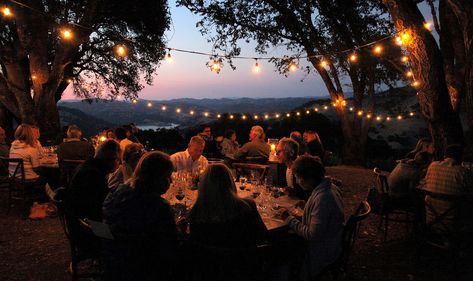 Winery Dinner, Vineyard Dinner, Sonoma County Wineries, Wine Pairing Dinner, Winery Event, Sonoma Wineries, Russian River Valley, Tree Inspiration, Family Style Meals