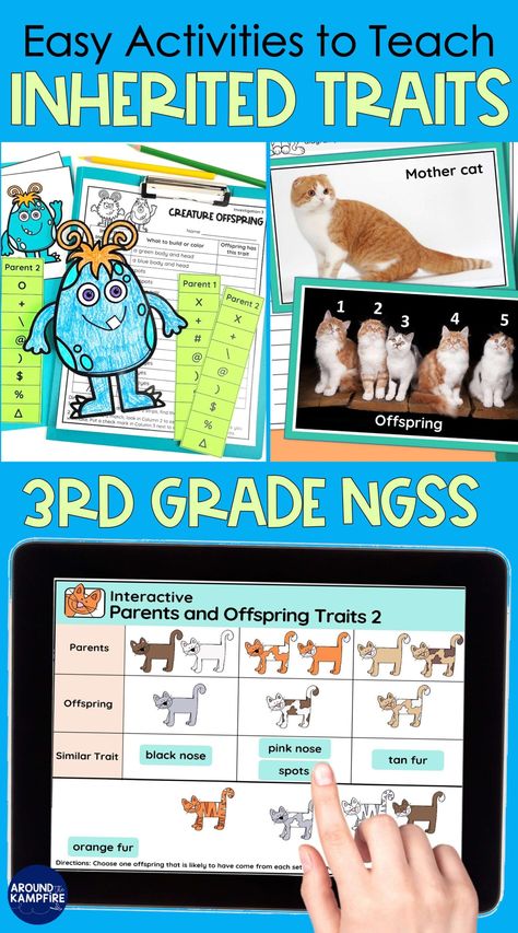 Third grade teachers, this post is a collection of engaging inherited traits activities, lessons and experiments to teach about inherited traits, variation of traits and heredity in 3rd grade science. Inheritance And Traits For 3rd Grade, Animal Traits 3rd Grade, Inherited Traits Activities, Inherited Traits 3rd Grade, Stem Worksheets, 3rd Grade Science Experiments, Third Grade Science Activities, Third Grade Homeschool, 3rd Grade Science