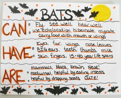 Can Have Are Chart, Bat Lessons, Bats Unit, October Themes, All About Bats, October School, October Activities, Teaching Degree, 1st Grade Science