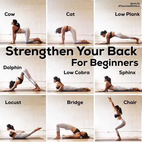 ✨Strengthen your back✨ ~ . All of these poses are great for beginners, to warm up backbends, for lower back pain, for posture, to support your spine, for injury prevention, etc etc - the list goes on 🙂 Having a strong core encompasses the back muscles 💪 ~ . • Cat & Cow - warm up the spine - • Low plank - one of my favorites to warm up shoulders, abs , and back muscles • Dolphin - extend through shoulders and walk feet up • Low Cobra - get light in the hands and lift them off the ground - • ... Yoga Nature, Yoga Beginners, Yoga For Back Pain, Trening Fitness, Yoga Help, Yoga Exercises, Easy Yoga Workouts, Back Pain Exercises, Pose Yoga