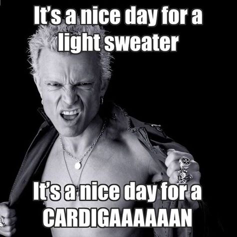 Gotta love Wisconsin and Illinois weather in the winter!...It's a nice day for a light sweater. It's a nice day for a cardigan Music Meme...Since we got a nice heat wave, you should come out to karaoke at Route 41 Roadhouse with DJ Magic Mike tonight! #billyidol #whitewedding #lightsweater #cardigan #karaoke #dj #music #saturdaynight #saturdayfun #karaokenight #musicdj #djnight #karaokedj #nightout #illinois #route41roadhouse #Wadsworth #luckyentertainment #luckydjs #saturday #saturdaynightkarao Misheard Lyrics, Funny Troll, I Respect You, Billy Idol, Morning Humor, Music Memes, Light Sweater, Bones Funny, I Laughed