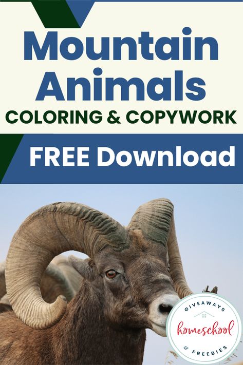 Help kids learn 30 facts about 5 different mountain animals with this FREE Mountain Animals Facts Coloring and Copywork unit! Free Copywork, Animal Fact File, Animal Facts For Kids, Mountain Animals, Mountain Crafts, Teaching Freebies, Writing Printables, Homeschool Freebies, History Curriculum