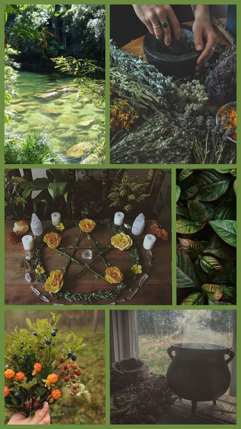 Green Witchcraft Aesthetic, Hedge Witchcraft, Green Witch Aesthetic, Witchcraft Aesthetic, Witchy Cottagecore, Witch Room Decor, Nature Witch, Witch Room, Witch Core