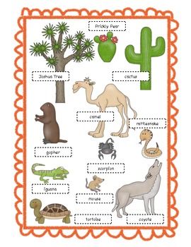 Desert Habitat Desert Ecosystem Project, Ecosystem Project, Desert Crafts, Desert Habitat, Habitat Project, Desert Diorama, Biomes Project, Ecosystems Projects, Desert Biome