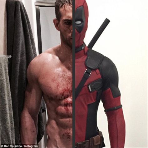 Wow: Ryan Reynolds' personal trainer shared a picture of the star's muscled form to Instag... Ryan Reynolds Abs, Ryan Reynolds Shirtless, Don Saladino, Deadpool Suit, Ryan Reynolds Deadpool, Blake And Ryan, Deadpool Movie, Deadpool And Spiderman, Wade Wilson