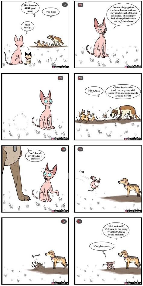 Pet Foolery Comic, Brutus And Pixie Comic, Brutus And Pixie Comic English, Pixie Brutus, Pet Foolery, Pixie And Brutus, Animal Comics, Funny Animal Comics, Military Dog