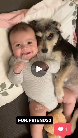 42K reactions · 11K shares | Aaawww my heart ❤️ melting 🫠 so cute | Raflesia Sumatra Andalas | fur_friends3 · Original audio Fleeting Moment, National Sibling Day, Diy Pallet Furniture Outdoor, Cocker Spaniel Dog, Skin Color Palette, Skinny Taste Recipes, Skin Care Items, Skincare Video, Bob Ross