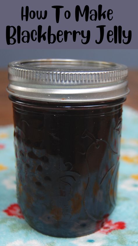 Jelly Recipes For Canning, Blackberry Jelly Recipe, Canning Blackberries, Seedless Blackberry Jam, Recipes For Canning, Homemade Grape Jelly, Blackberry Bushes, Homemade Blackberry Jam, Blackberry Jam Recipes