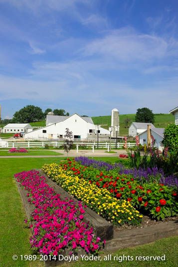 Amish Flower Gardens, Amish Aesthetic, Permaculture Backyard, Amish Home, Amish House, Amish Farm, Front Yard Landscaping Diy, Landscaping Diy, Gang Gang