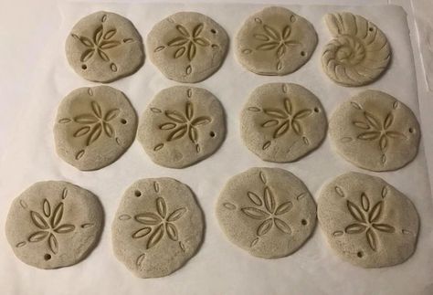 Salt dough sand dollars. Sand Dollars, Coastal Christmas, Salt Dough, Sand Dollar, Coastal Home, Coastal Homes, Coral Reef, Dough, Salt