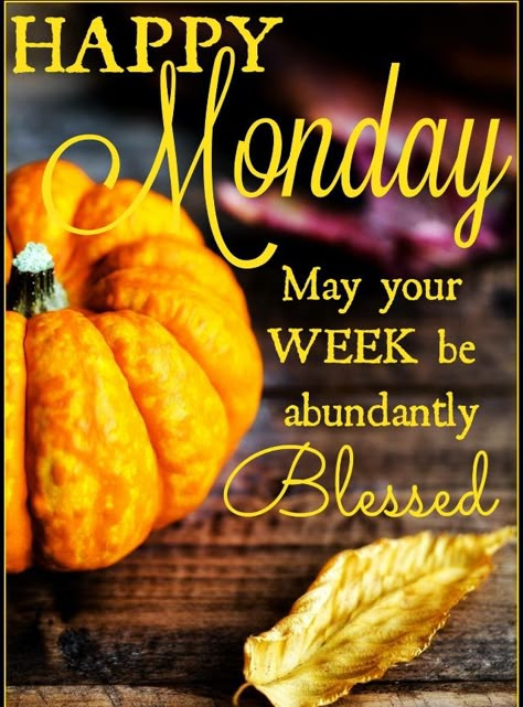 Monday Monday Morning Greetings, Monday Morning Blessing, Happy Monday Images, Monday Greetings, Monday Wishes, Happy Monday Quotes, Happy Monday Morning, Monday Images, Monday Morning Quotes