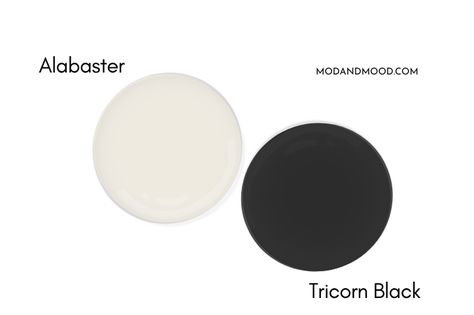 Alabaster by Sherwin Williams a Classic White Review (and Dupes!) SW 7008 - Mod & Mood Alabaster Sherwin Williams Exterior, Sherman Williams Paint, Beach Paint Colors, Sherwin Williams Extra White, Sherman Williams, Sherwin Williams Alabaster, Tricorn Black, Alabaster Color, Black Paint Color