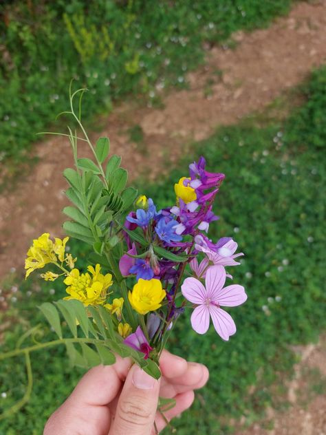 Handful Of Flowers, Ghibli Spring, Flowers From Bf, Handpicked Flowers, Pencil Drawings Of Nature, Fruit Picking, Nothing But Flowers, Holding Flowers, Couple Photoshoot Poses