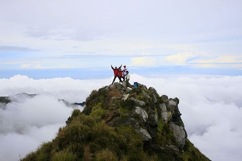 Summit of Mt. Apo Mount Apo, Mt Apo, Davao City, Sea To Summit, Tourism Industry, The Tourist, Davao, Travel Bug, Tourist Spots