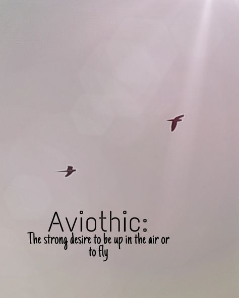 #meaning#aviothic#quotes#birds#fly#sky#wallpaper#aesthetic#ideas Aviothic Wallpaper, Aviothic Word, Aviothic Quotes, Flying Bird Quotes, Flying Birds Captions, Birds Flying In The Sky Quotes, Birds Instagram Story Caption, Quotes About Birds Flying, Birds Quotes Flying