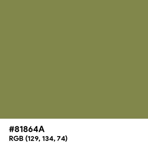 Olive Green color hex code is #81864A Olive Green Hex Code, Green Color Hex Code, Green Hex Code, Green Color Code, Split Complementary Colors, Rgb Color Wheel, Rainbow Palette, Web Colors, Color Of The Day