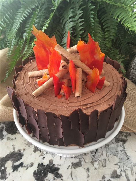 Camping Theme Cakes, Bonfire Cake, Ganache Recipes, Campfire Cupcakes, Recipes Microwave, Campfire Cake, Adventure Birthday Party, Camping Cakes, Camping Theme Birthday