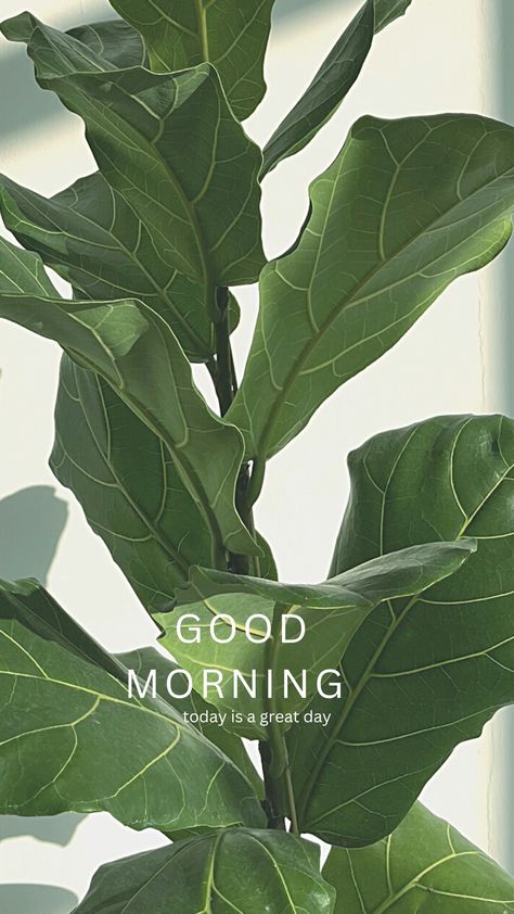 Good Morning With Nature, Motivation Instagram Story, Minimalist Motivation, Nature Minimalist, Good Morning Posters, Today Is A Great Day, Create Your Own Sunshine, Good Morning Wednesday, Good Morning Today