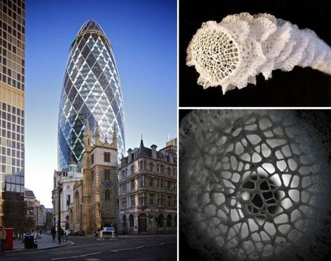 10 Stunning examples of Biomimicry in Architecture - RTF | Rethinking The Future Ernest Haeckel, Biomimicry Examples, Biomimicry Architecture, Lattice Structure, Tech Inspiration, Materials And Structures, Interior Columns, Milwaukee Art Museum, Milwaukee Art