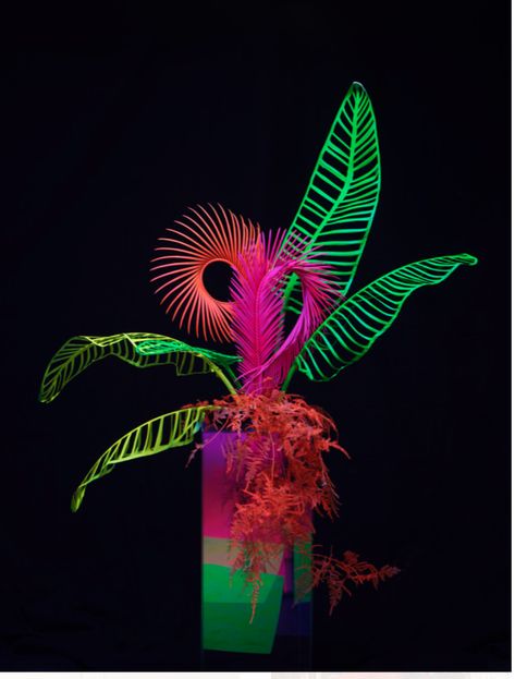 Floral Arrangements Ideas, Modern Floral Arrangements, Ikebana Flower, Ikebana Flower Arrangement, Neon Flowers, Neon Decor, Creative Box, Flowers Decoration, Neon Wedding