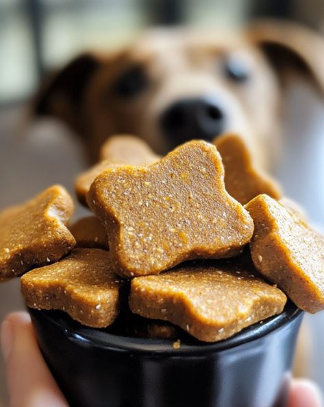 Pumpkin Peanut Butter Dog Treats, Dog Peanut Butter, Pumpkin Peanut Butter, Peanut Butter For Dogs, Dog Pumpkin, Peanut Butter Dog Treats, Peanut Butter Pumpkin, Pumpkin Treat, Treat Recipes