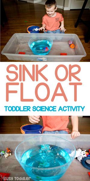 Float Sink Experiment, Homeschool Preschool Activities Science Experiments, Science Class For Preschool, Preschool Sink Or Float Activities, Sink Or Float Experiment Preschool, Summer Science For Toddlers, Science Week Activities For Babies, Float Or Sink Experiment, Toddler Science Experiments At Home