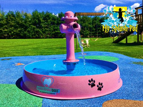 Splash Pad For Dogs, Dog Park Ideas, Dog Playroom, Dog Daycare Ideas, Dog Park Design, Dog Daycare Business, Portable Dog Kennels, Indoor Dog Park, Dog Boarding Facility