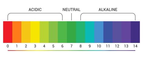 Ph scale indicator chart diagram acidic ... | Premium Vector #Freepik #vector #ph #ph-scale #chemical #science-lab Ph Scale, Science Diagrams, Best Study Tips, Scale Drawing, Photos For Profile Picture, School Games, Study Tips, Premium Vector, Graphic Resources