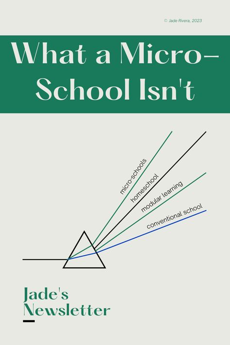 I’m going to stake a claim and insist that, at their core, micro-schools are about caring for one another, particularly the most vulnerable. While they are created with the needs of a specific population in mind, micro-schools are not in the name of propagating anti-social and dysfunctional values. Rather, the purpose is to widen the spectrum of what is available in educational design so that as many children can access appropriate and loving learning environments as possible. Micro School Design, Micro School Classroom, Microschool Ideas, Micro School, Micro Learning, Educational Design, Health Class, Phonics Games, Education Design