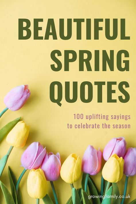 Looking for the best spring quotes or spring captions for instagram? This list has 100 great quotes about springtime to inspire you. Spring Garden Quotes, Spring Blessings Quotes, Spring Quotes Inspirational Life, Springtime Quotes Inspiration, Quotes About Spring And New Beginnings, Happy Spring Quotes Inspiration, Quote About Spring, May Quotes Inspirational, Spring Sayings Quotes