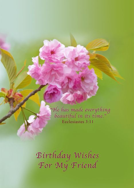 Birthday, Friend, Cherry Blossom Flowers, Religious card Cherry Birthday, Niece Birthday Wishes, Birthday Cards Images, 88th Birthday, 90th Birthday Cards, 80th Birthday Cards, Personalized Holiday Cards, Birthday Wishes For Daughter, Birthday Wishes For Sister